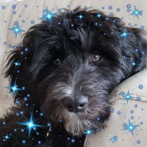 Meet your Posher, Treasuresinthemix